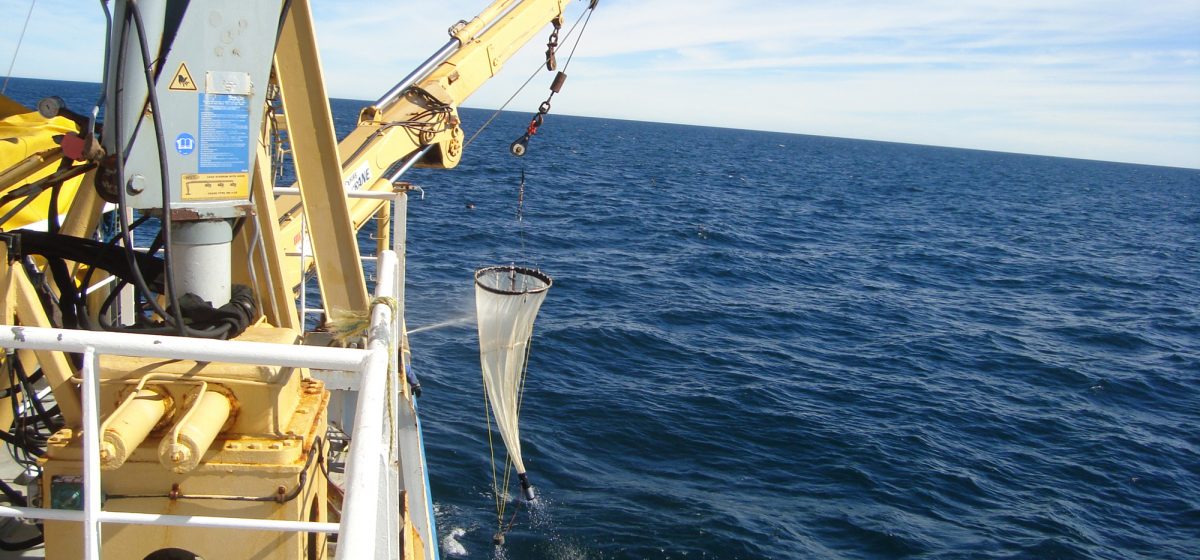 Campaña Oceanográfica Buque Coriolis II – febrero 2014. Fuente: José Luis Esteves.