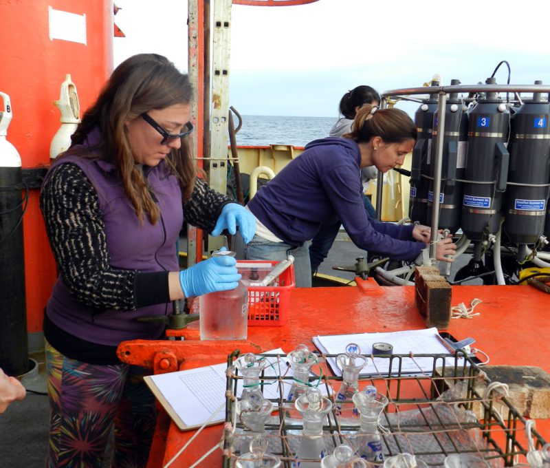 Analizando muestras marinas a bordo del buque Puerto Deseado durante una de las campañas de 2013. (Alberto Piola)